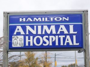 About Us - Hamilton Animal Hospital