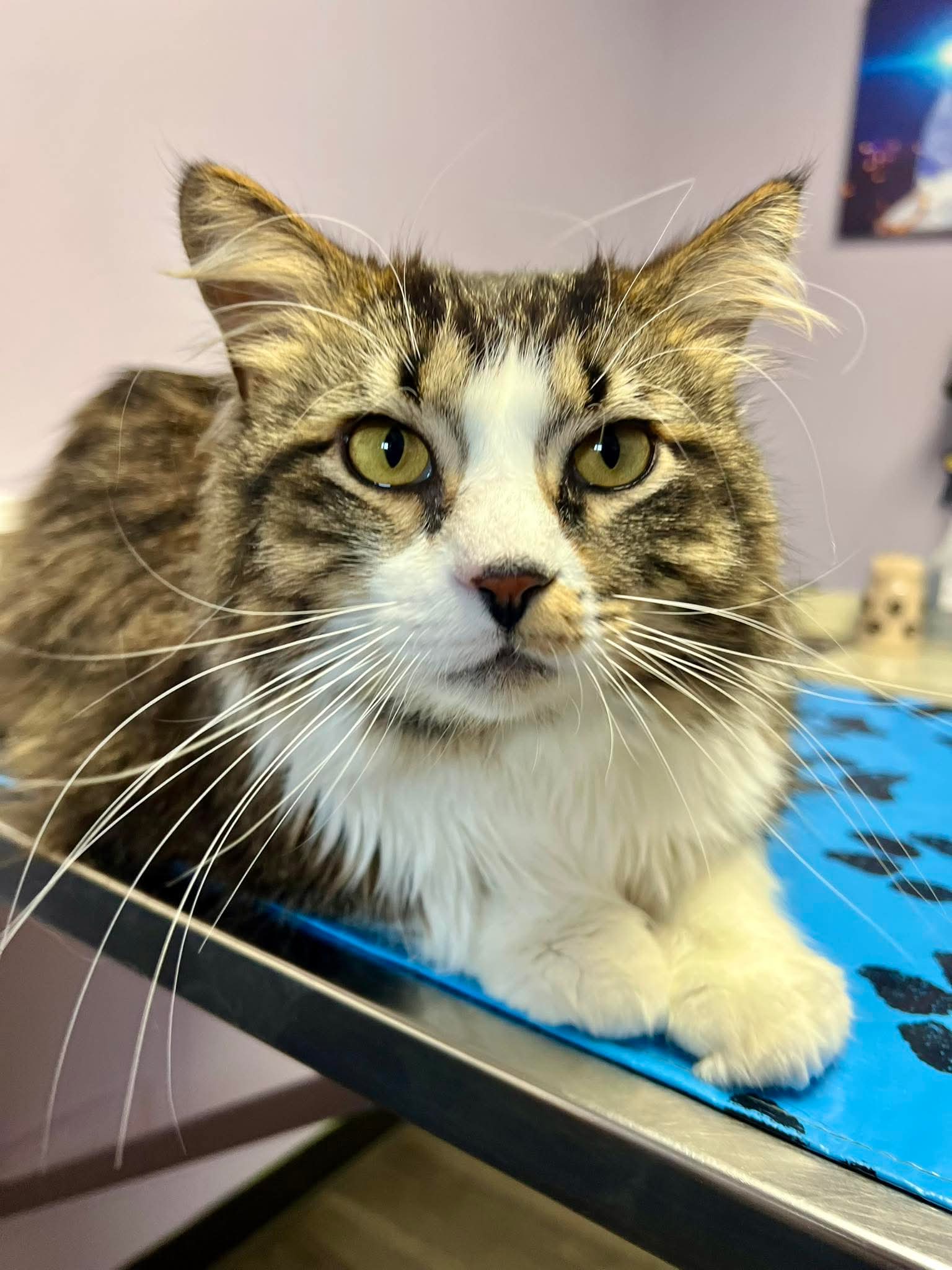 facebook_1773077839840_7436827475953248035